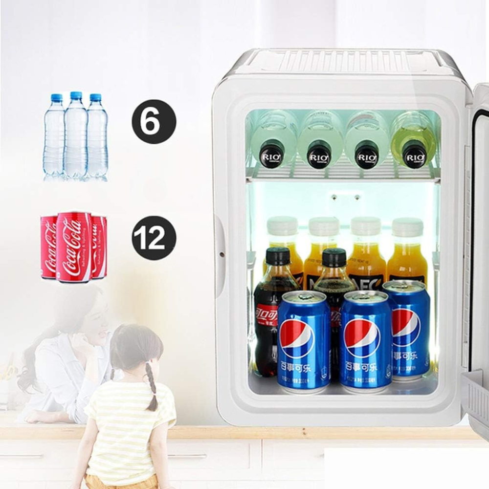 8L Portable Mini Refrigerator, Heating and Cooling Function, for Food and Cosmetics