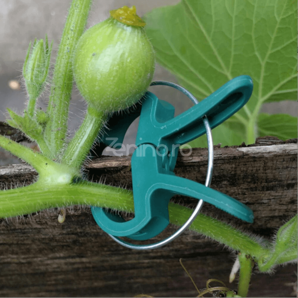 Set 108 Cleme pentru Plante, Mentine Pozitia, Doua Dimensiuni, Potrivite pentru Palisare, Rezistente, din Polipropilena, Verde