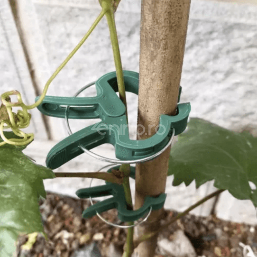 Set 108 Cleme pentru Plante, Mentine Pozitia, Doua Dimensiuni, Potrivite pentru Palisare, Rezistente, din Polipropilena, Verde