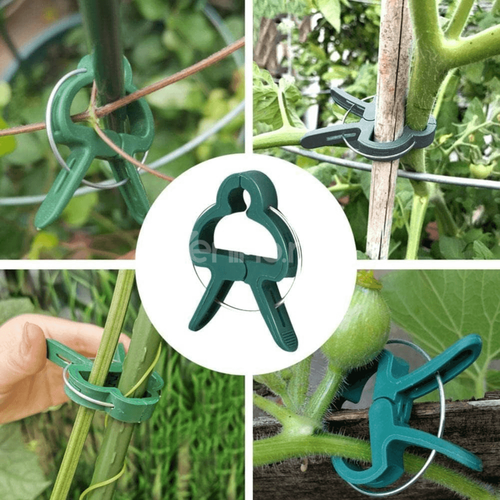 Set 108 Cleme pentru Plante, Mentine Pozitia, Doua Dimensiuni, Potrivite pentru Palisare, Rezistente, din Polipropilena, Verde