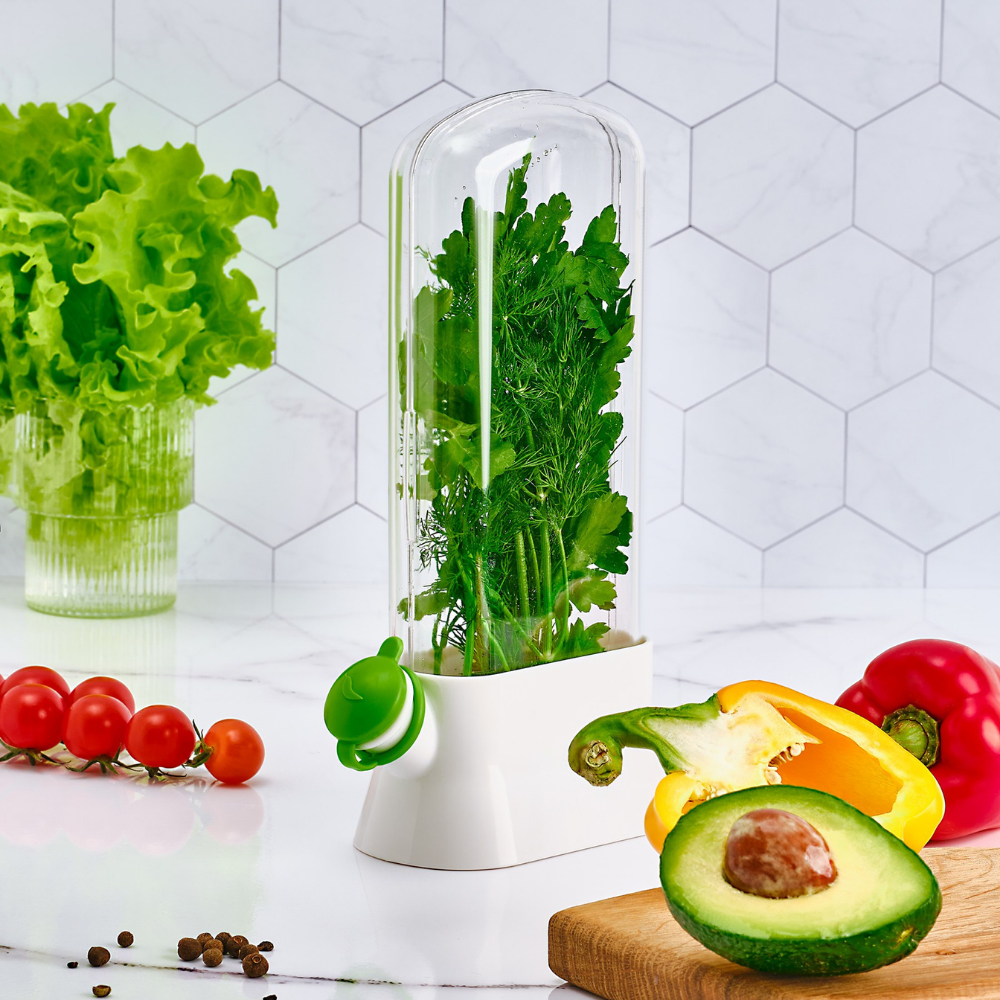 Herb Storage Container, Water Filling System, Easy to Use, 27x16 cm, White