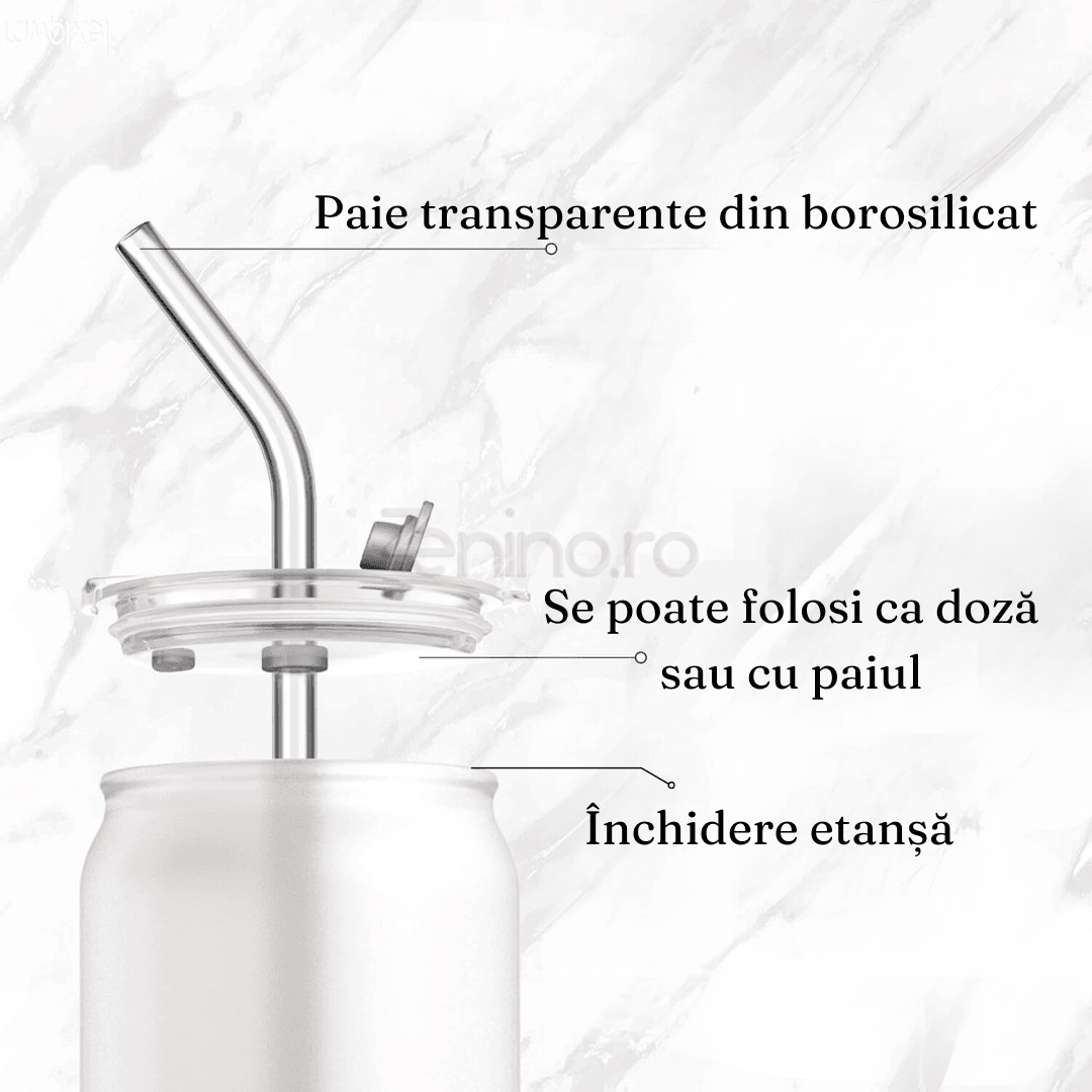 Set 4 Pahare cu Pai, Bauturi Calde si Reci, Tip Doza, Capac din Bambus/Plastic, Perie pentru Curatare, Sticla