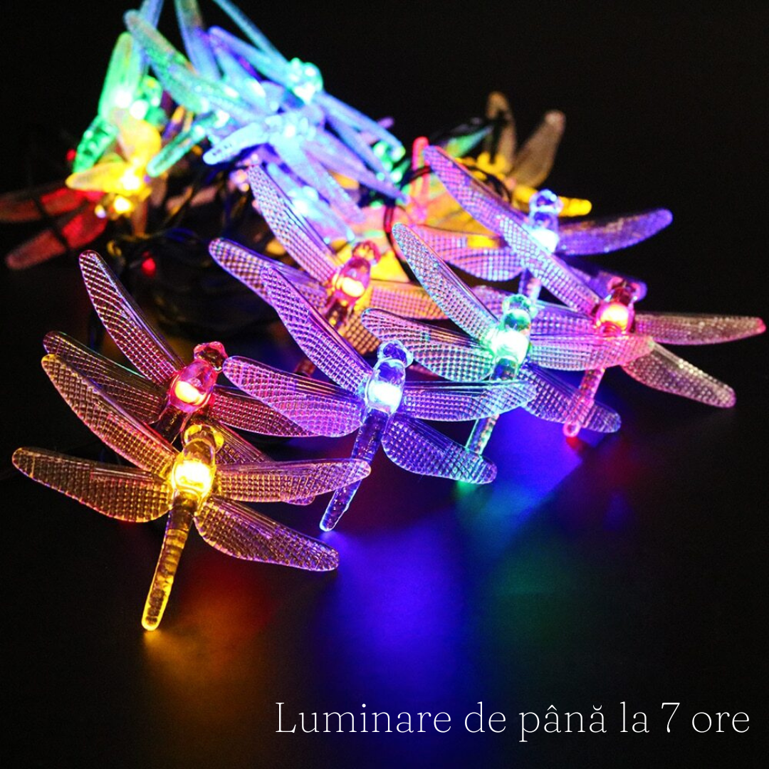 Ghirlanda cu Panou Solar, LED, IP65, Diverse Modele, Fixare in Pamant, Luminare 7 ore