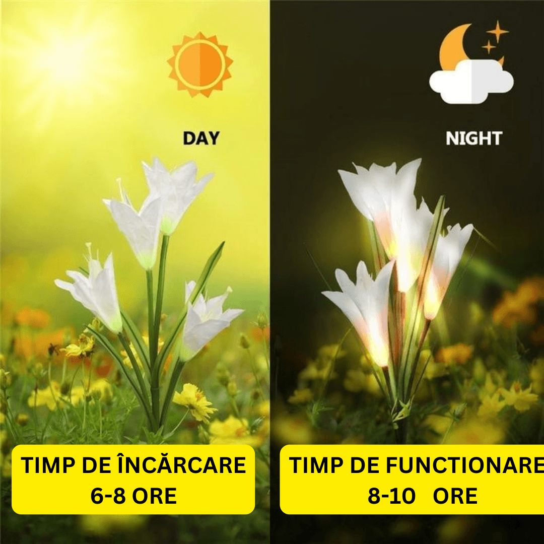 Set 4 Lampi Solare Crin, Rezistente, IP65, Fixare in Sol, 600mAh, 80 cm, Multicolor