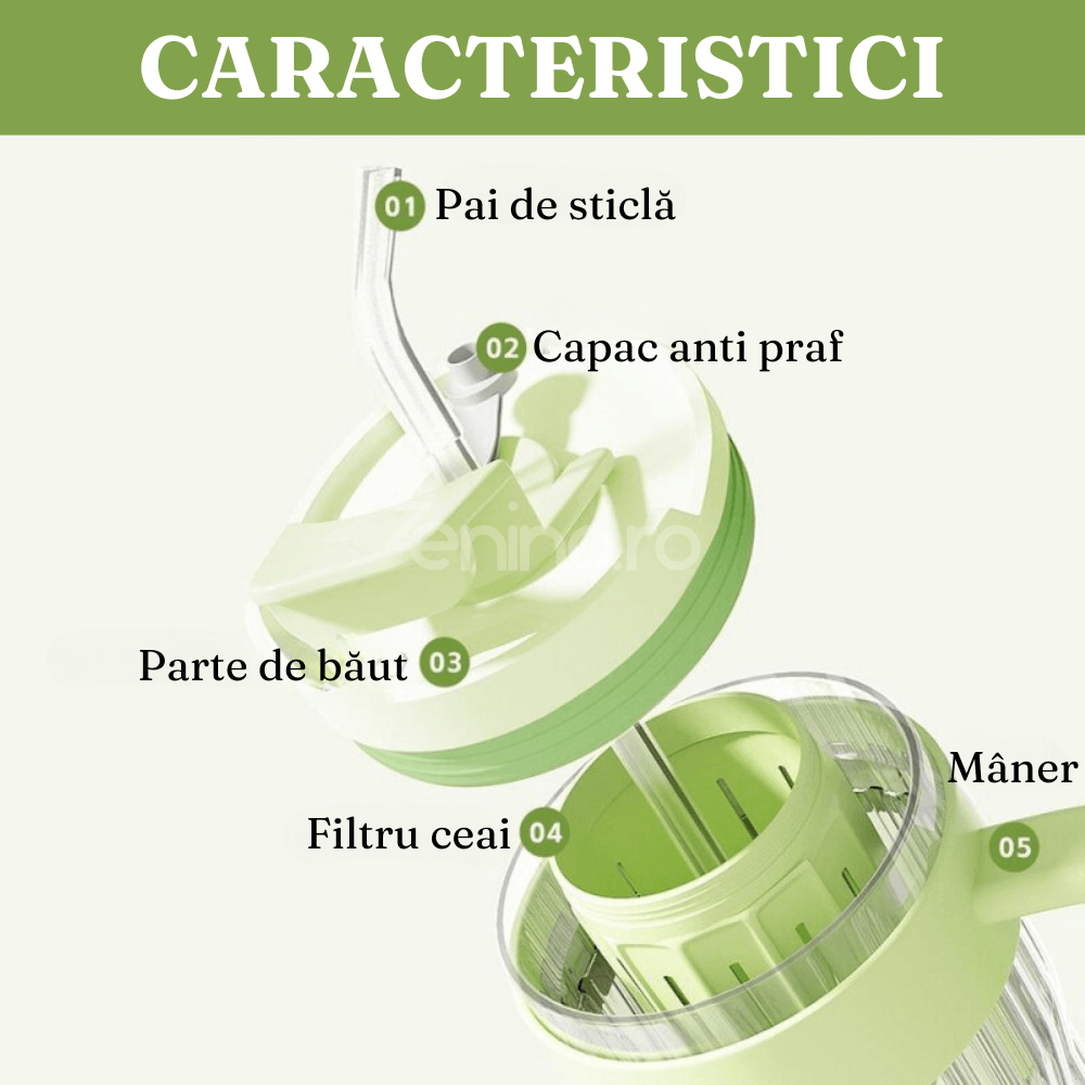 Cana din Sticla 2in1, Capacitate 550ml, pentru Ceai/Cafea, Pai Reutilizabil, cu Maner, Verde, Mov, Roz