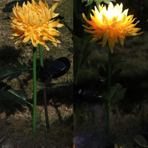 Комплект от 4 соларни лампи Zenino Tulip - 3 цветя на лампа, издръжливи, IP65, за монтаж на земята, 600mAh, 78 см, многоцветни