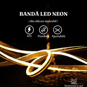 Banda LED Neon, RGB, 12V, Lungime 5m, cu Telecomanda, IP65, Ajustabila, din Silicon