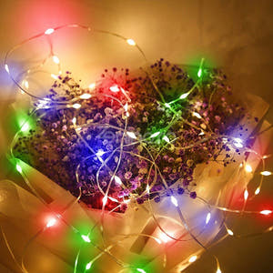 Instalatie de Craciun, Liniara, Becuri LED, Multicolor, 8 Jocuri de Lumini, Fir Transparent, 220V, Controler