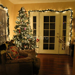 Instalatie de Craciun, Liniara, Becuri LED, Multicolor, 8 Jocuri de Lumini, Fir Negru, 220V, Controler