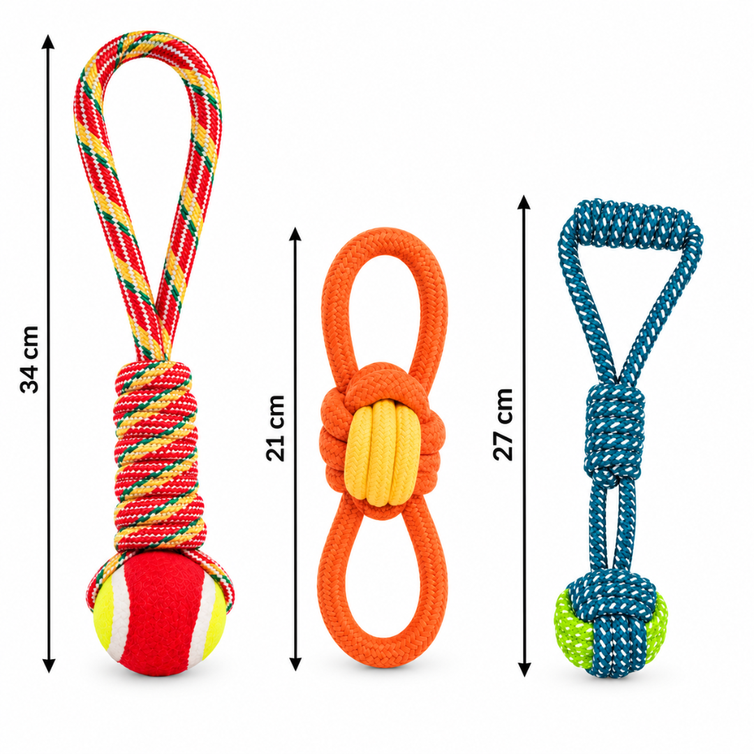 Jucarie Sfoara pentru Caini, Multicolor, Diferite Dimensiuni