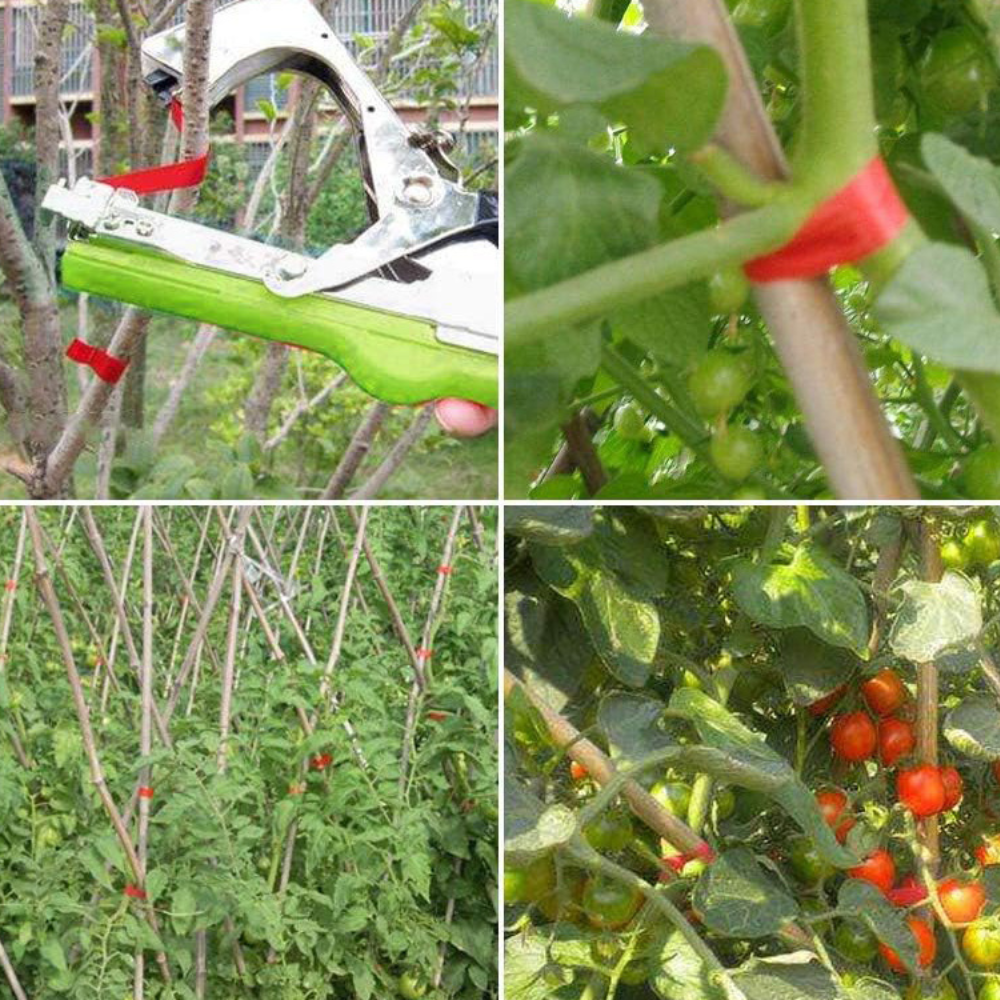 Aparat de Legat Plante, Vita de Vie, Rosii, Usor de Folosit, Fixare Delicata