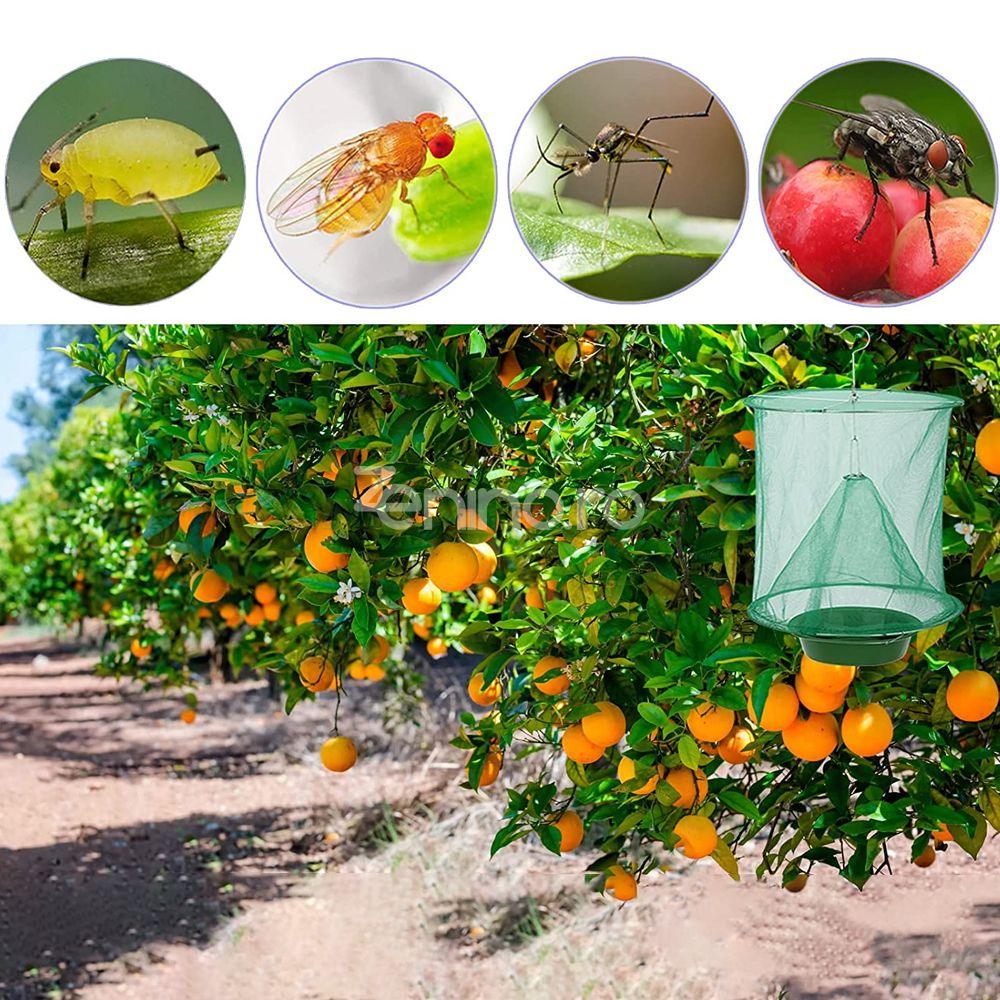 Outdoor Insect Trap Made of Mesh, Hanging, Garden, Home, Yard, Flies, Mosquitoes, Easy to Use, Bowl Included, Green