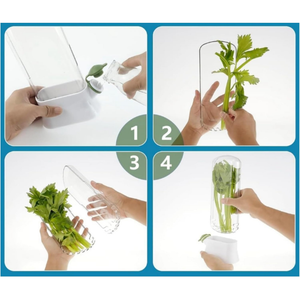 Recipient Pastrare Ierburi Aromatice, Sistem Umplere Apa, Usor de Folosit, 27x16 cm, Alb