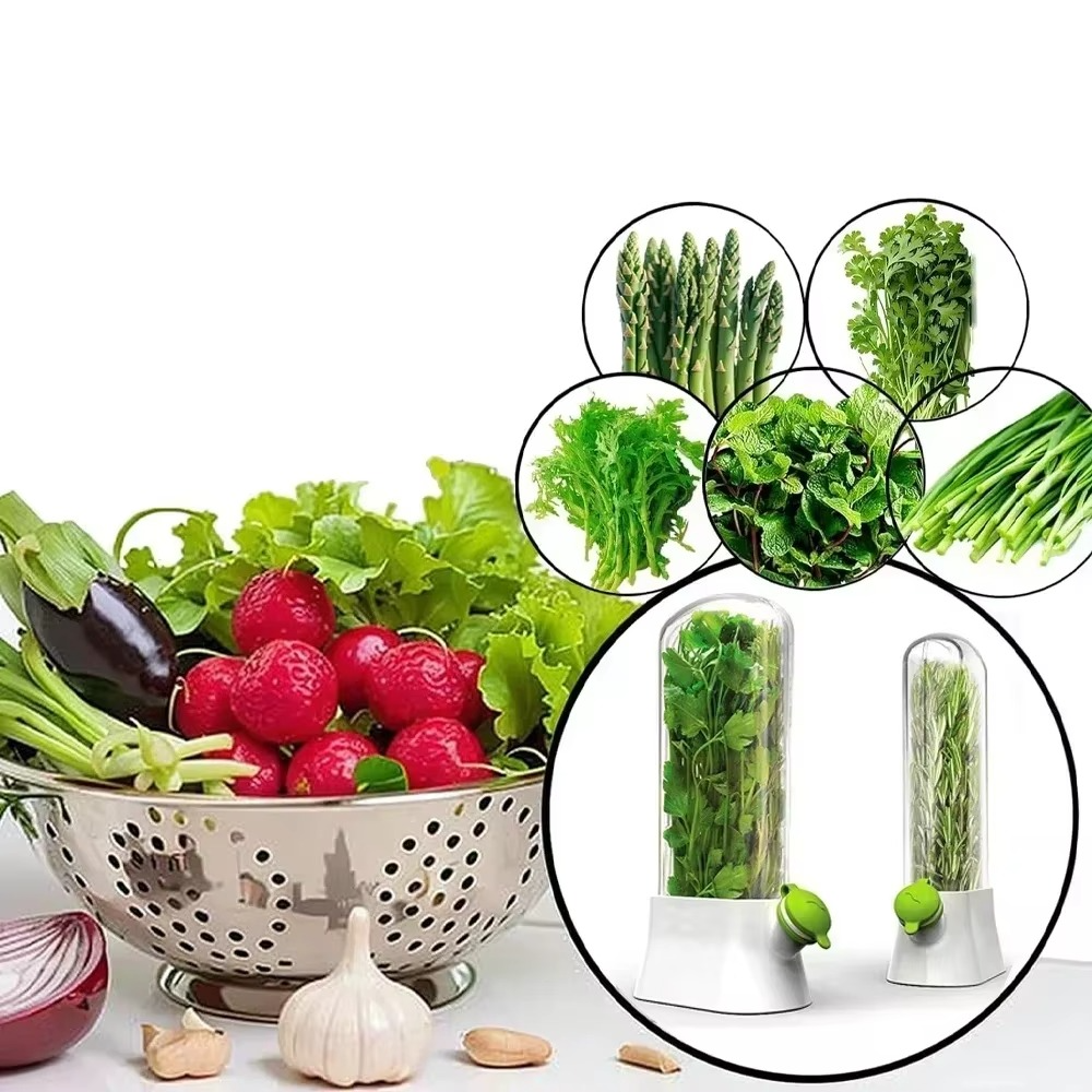 Herb Storage Container, Water Filling System, Easy to Use, 27x16 cm, White