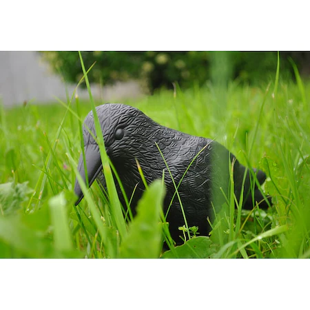 Sperietoare Impotriva Pasarilor - In Forma de Corb, Plastic, 40 x 20 cm, Negru